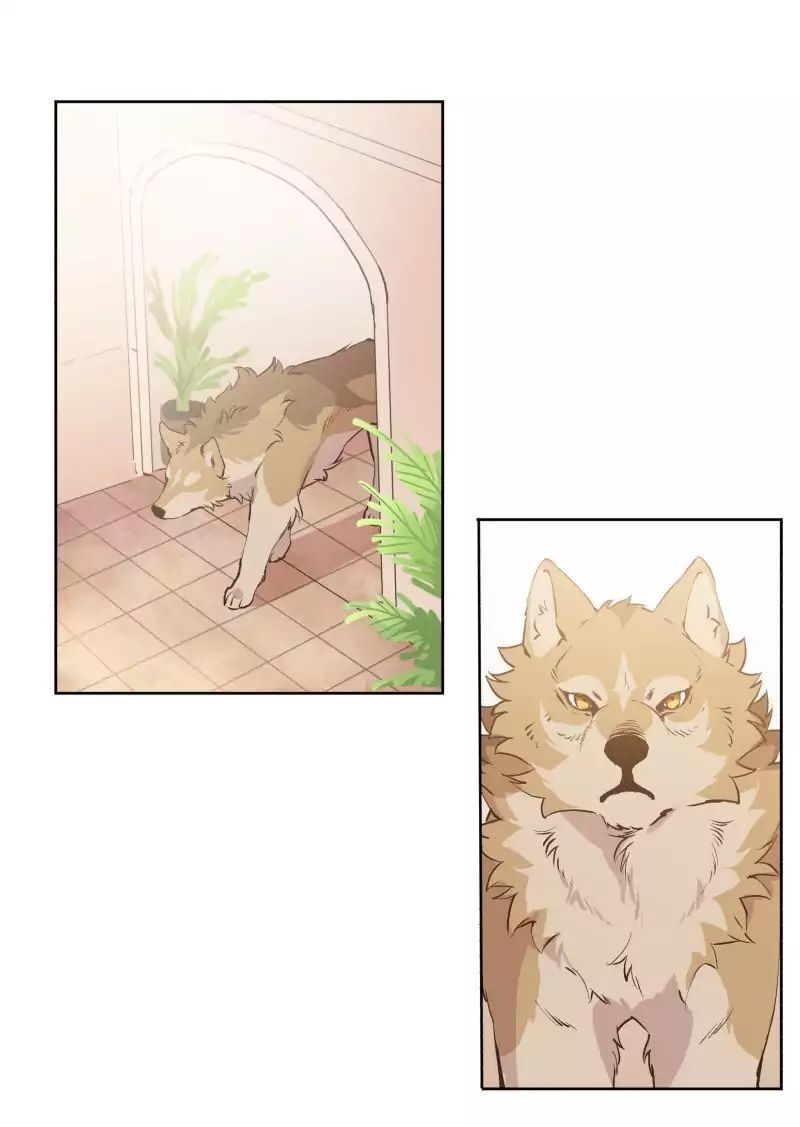 Lumine Chapter 41 - Trang 2