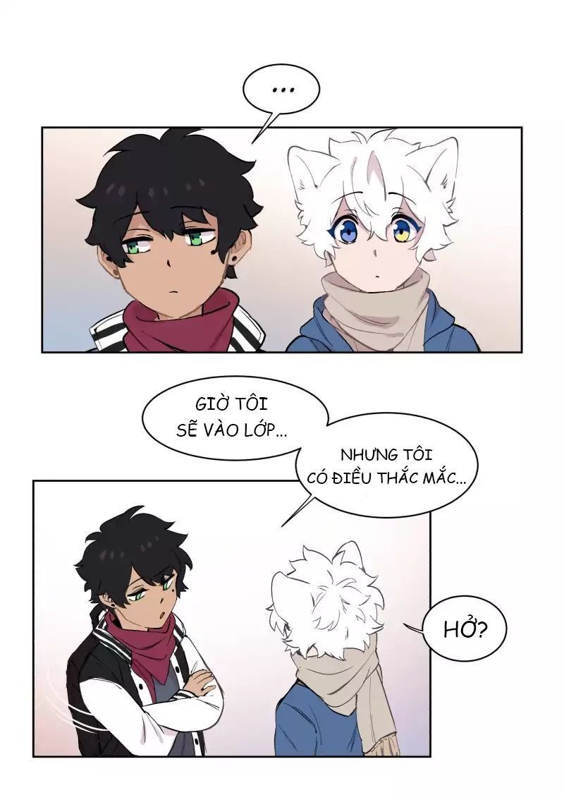 Lumine Chapter 43 - Trang 2