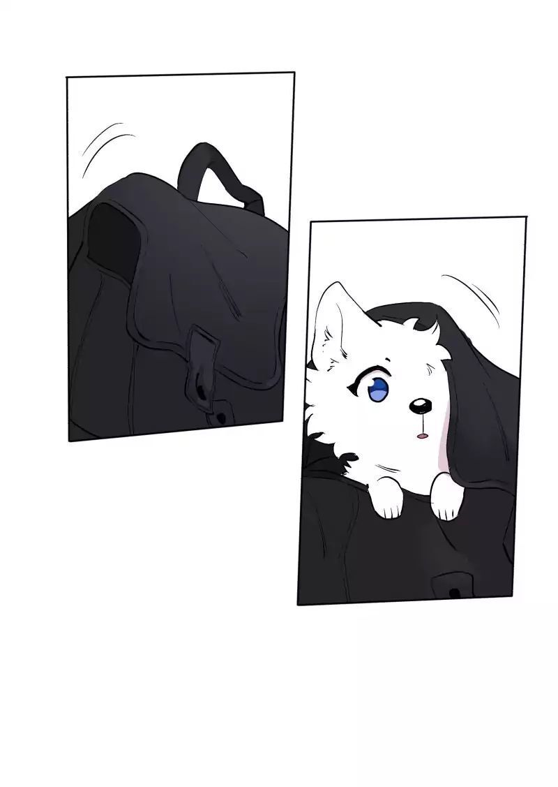 Lumine Chapter 43 - Trang 2