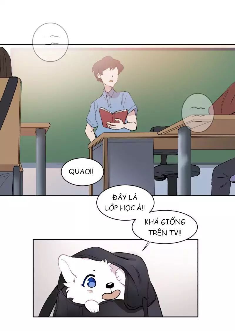 Lumine Chapter 43 - Trang 2