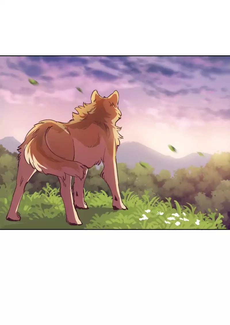 Lumine Chapter 45 - Trang 2