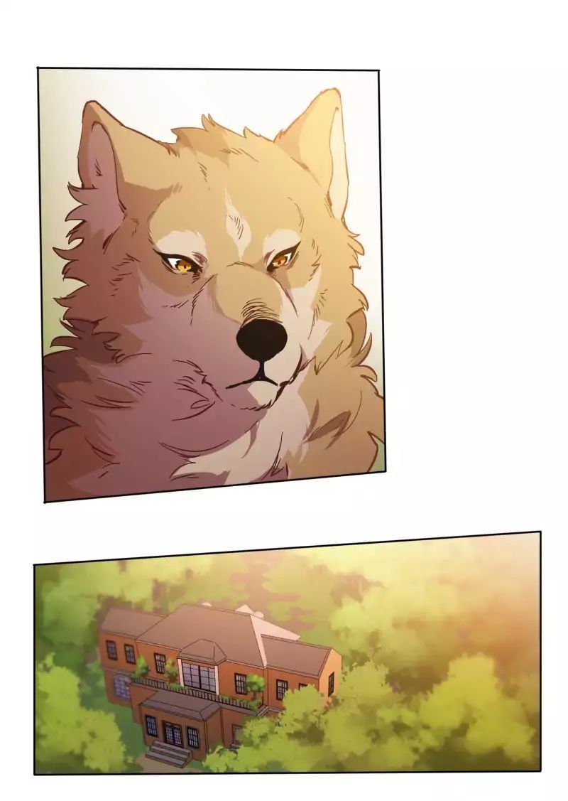 Lumine Chapter 45 - Trang 2