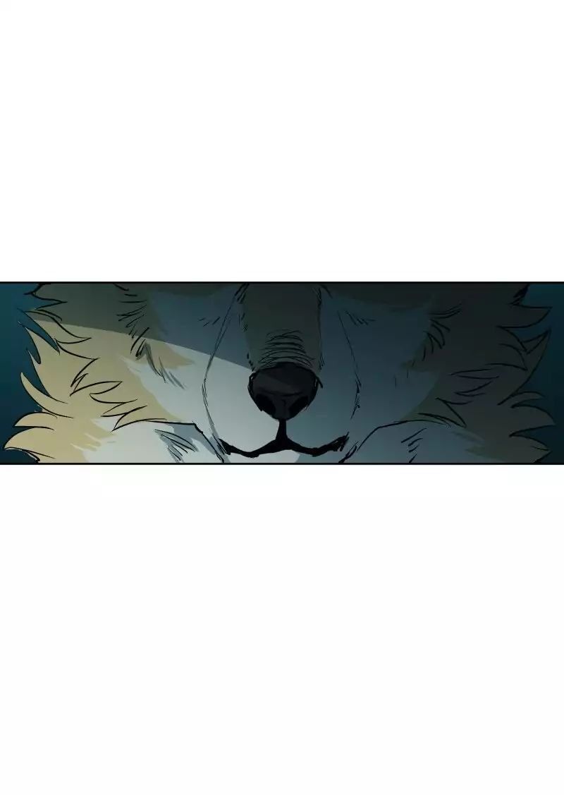 Lumine Chapter 49 - Trang 2