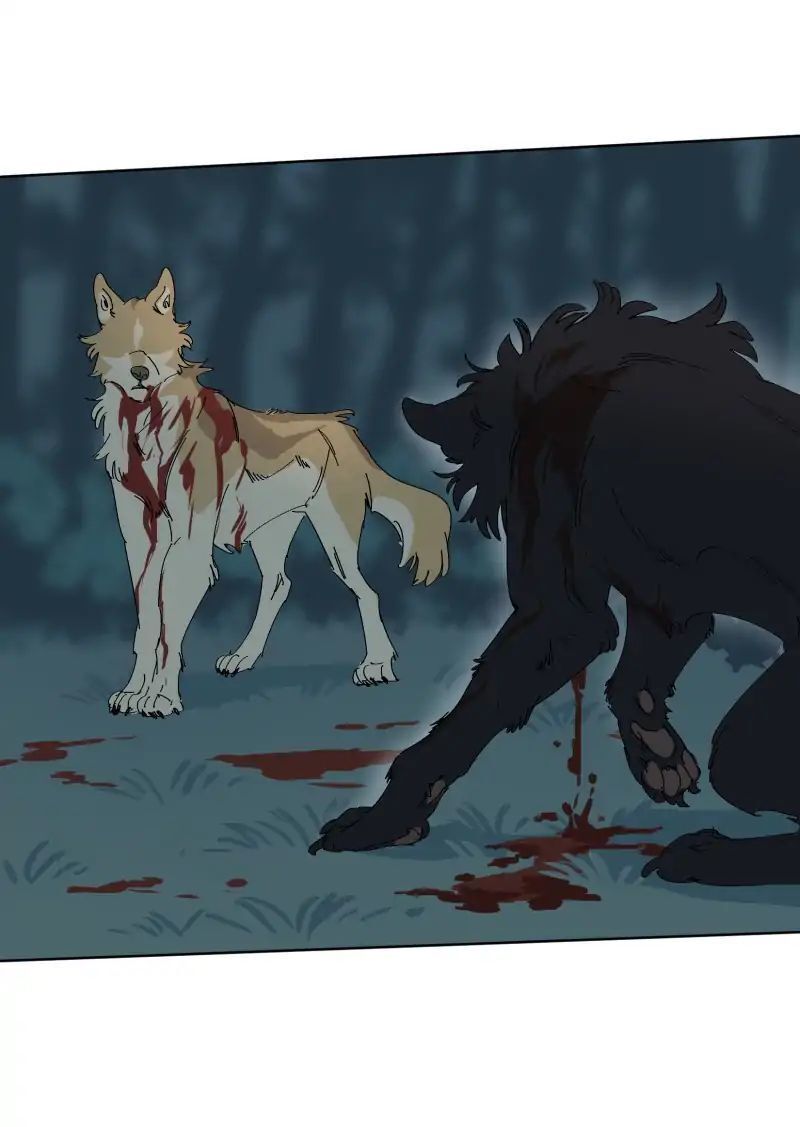 Lumine Chapter 55 - Trang 2