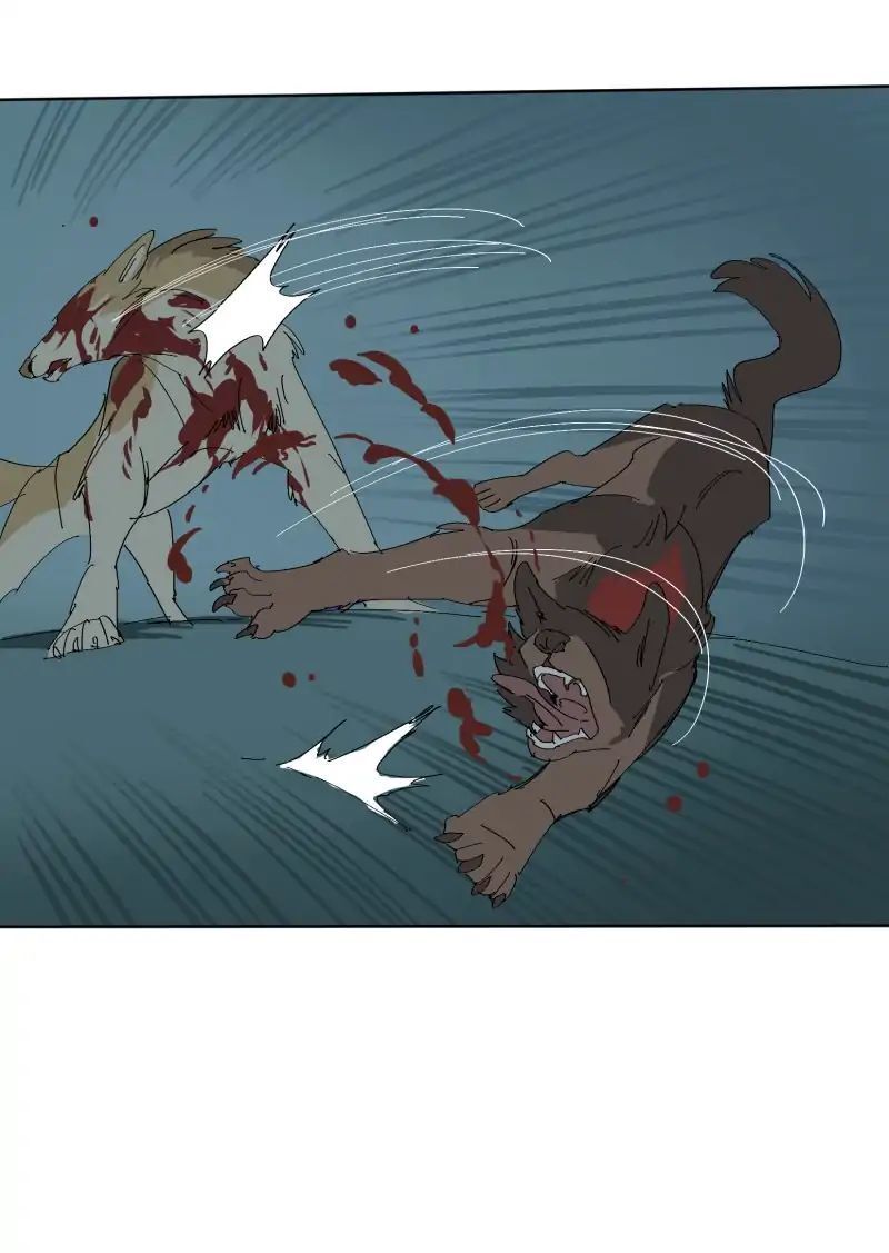 Lumine Chapter 56 - Trang 2