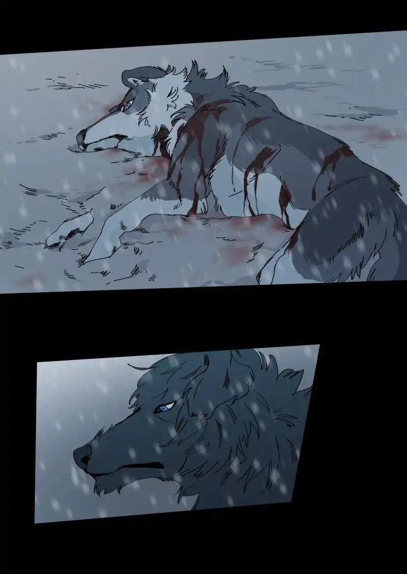 Lumine Chapter 62 - Trang 2