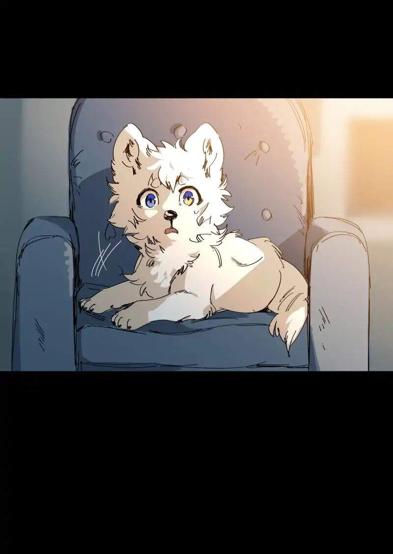 Lumine Chapter 63 - Trang 2