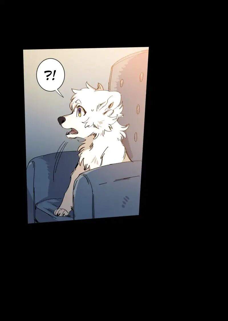 Lumine Chapter 63 - Trang 2