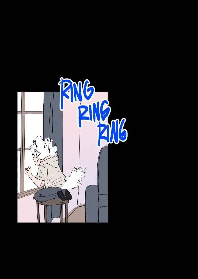 Lumine Chapter 66 - Trang 2