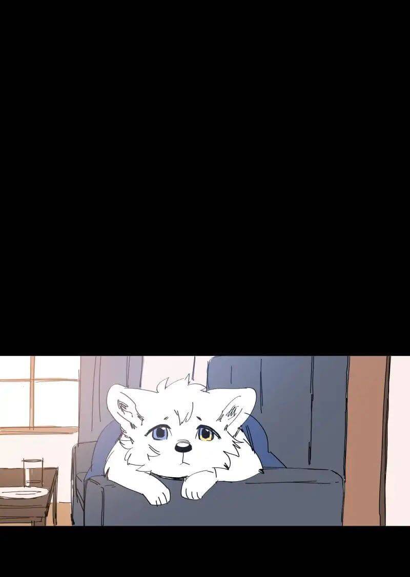 Lumine Chapter 66 - Trang 2