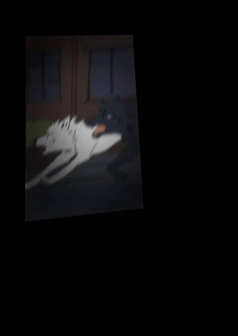 Lumine Chapter 67 - Trang 2