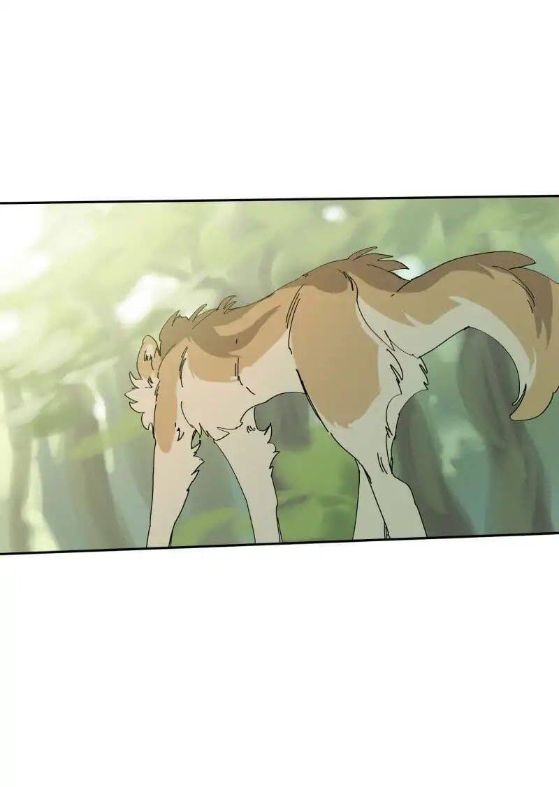 Lumine Chapter 68 - Trang 2