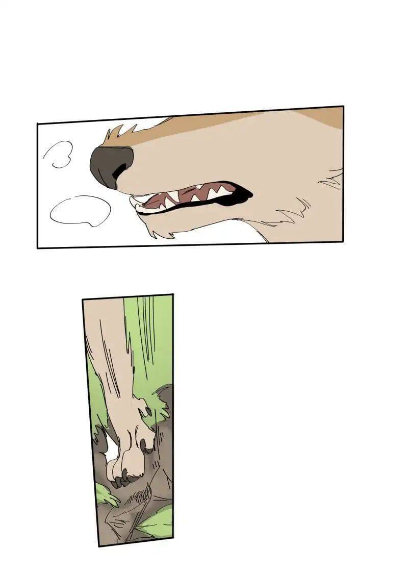 Lumine Chapter 68 - Trang 2