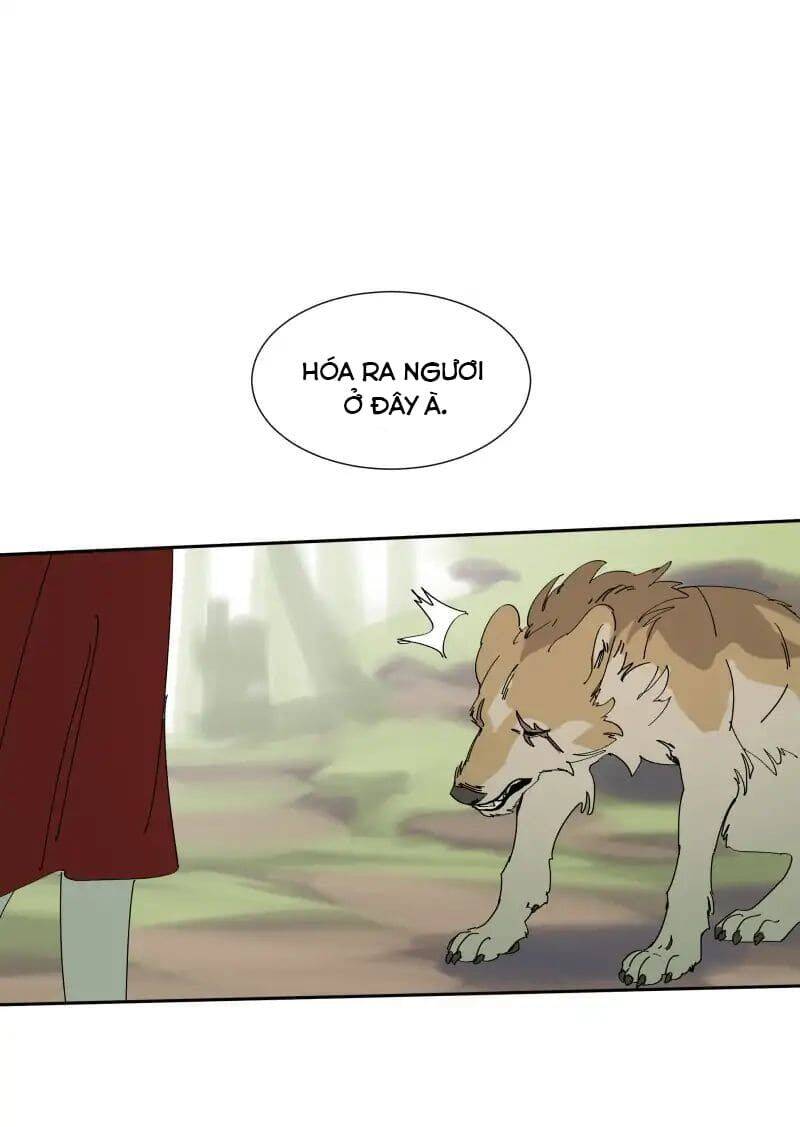 Lumine Chapter 68 - Trang 2