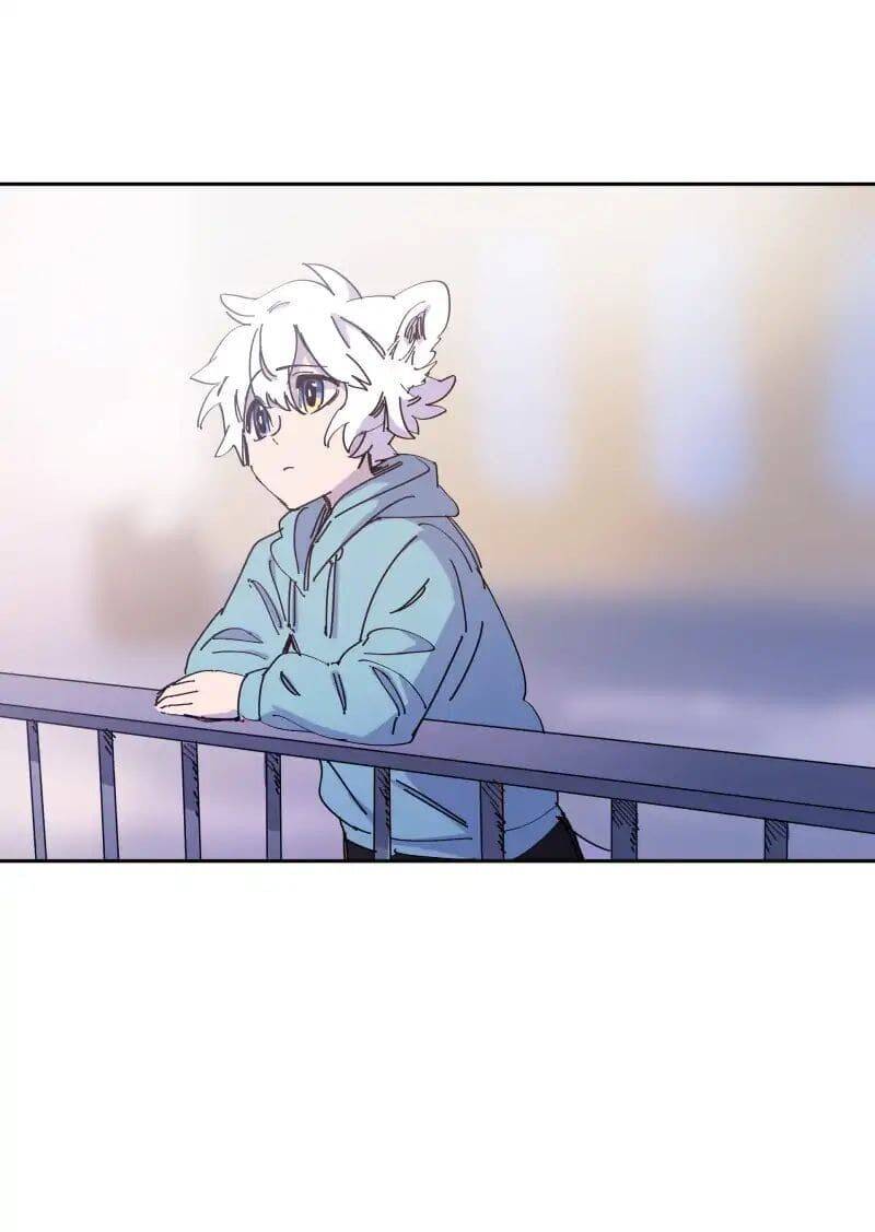 Lumine Chapter 69 - Trang 2