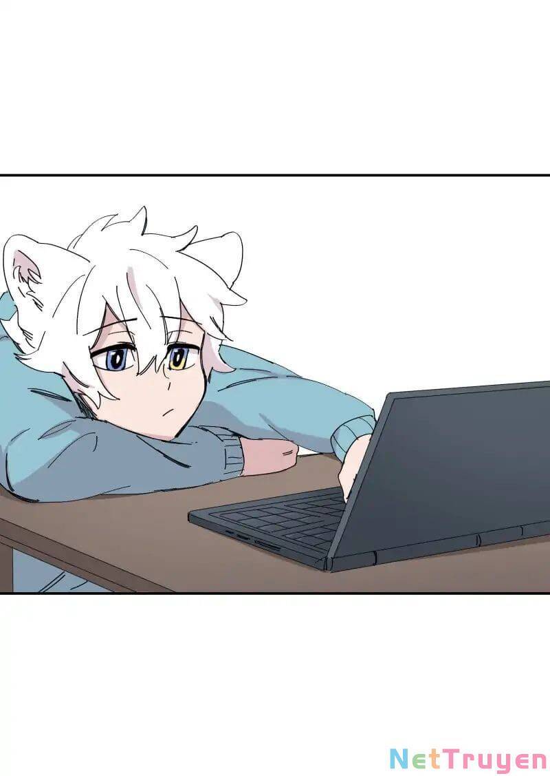 Lumine Chapter 72 - Trang 2