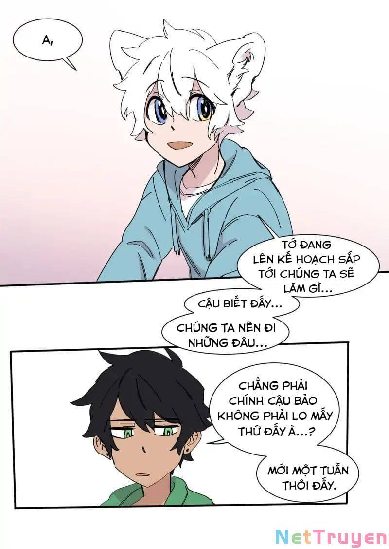 Lumine Chapter 72 - Trang 2