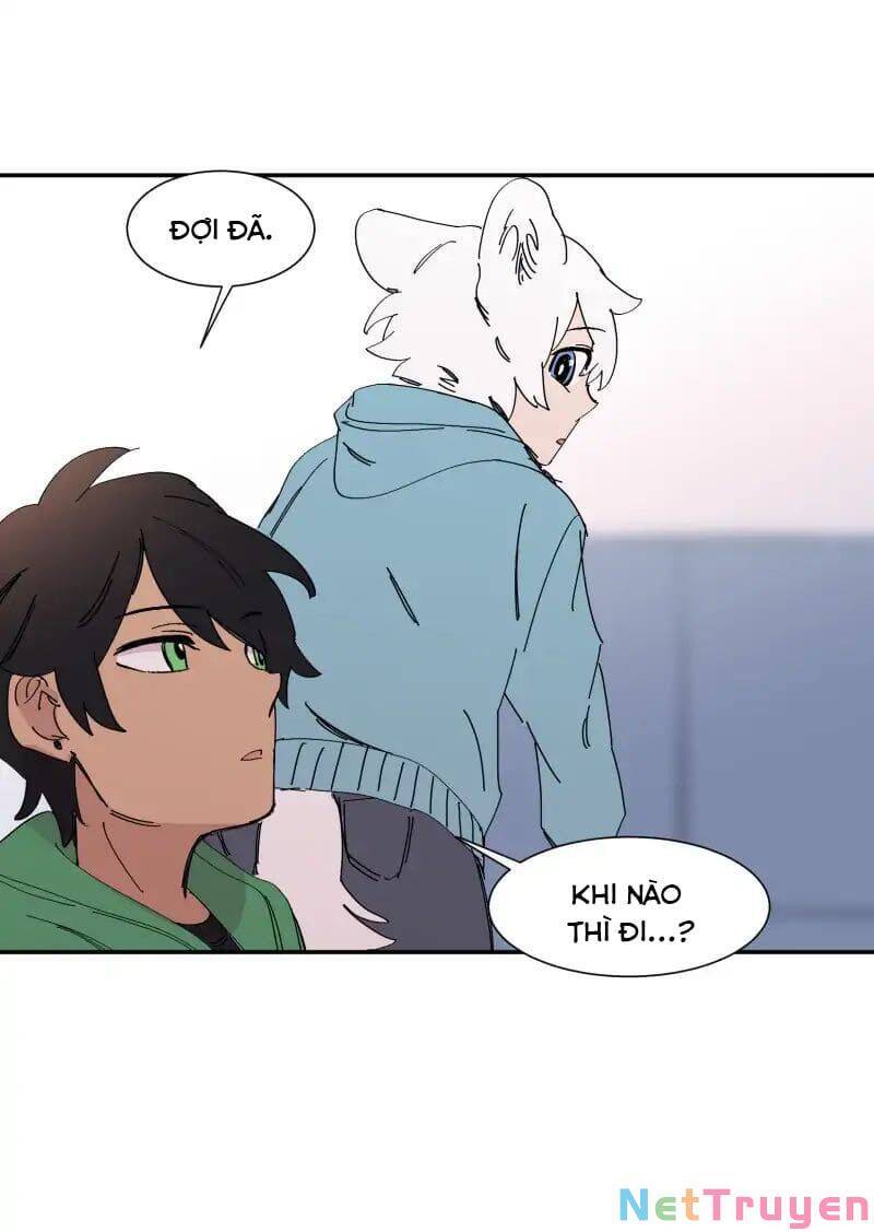 Lumine Chapter 72 - Trang 2