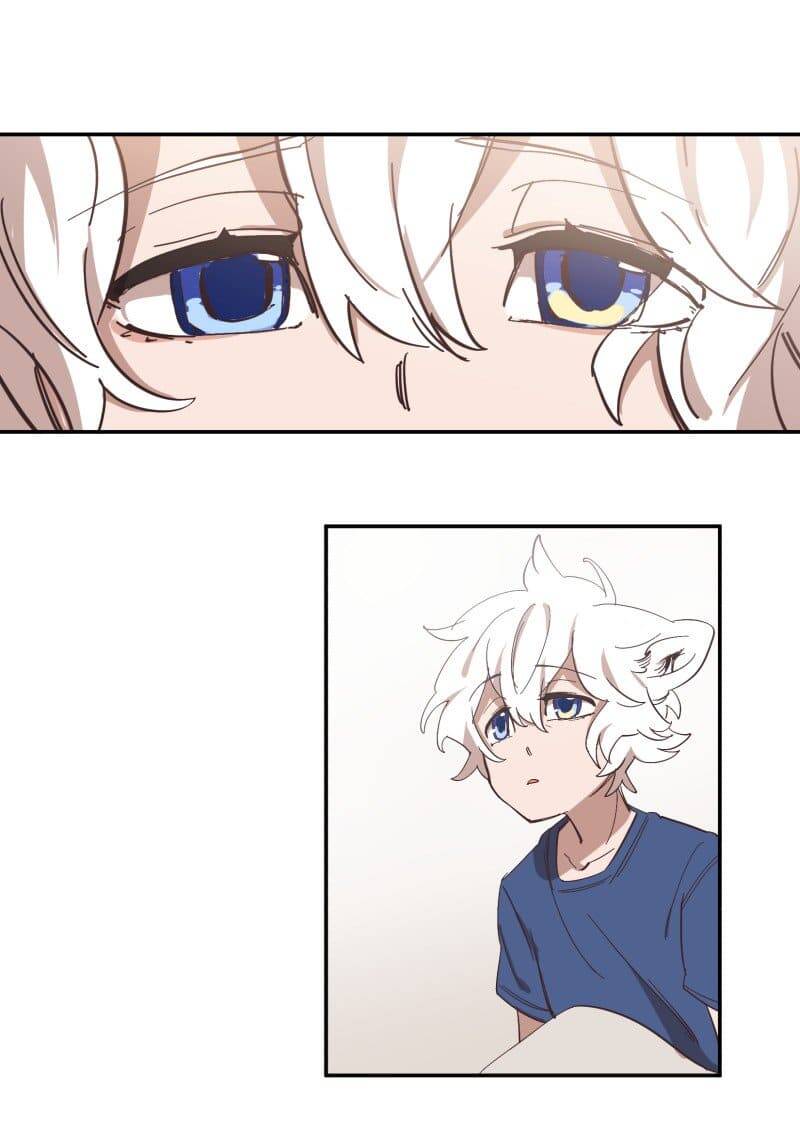 Lumine Chapter 73 - Trang 2