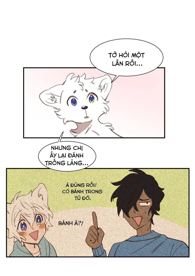 Lumine Chapter 73 - Trang 2