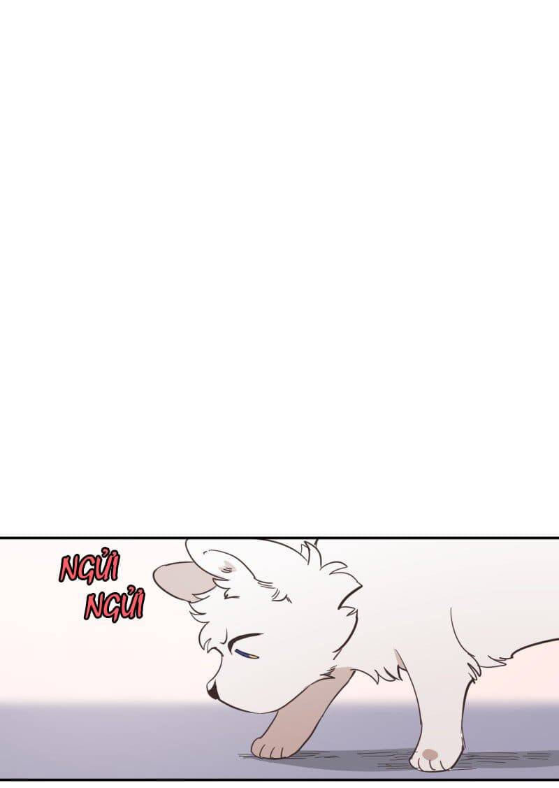 Lumine Chapter 73 - Trang 2