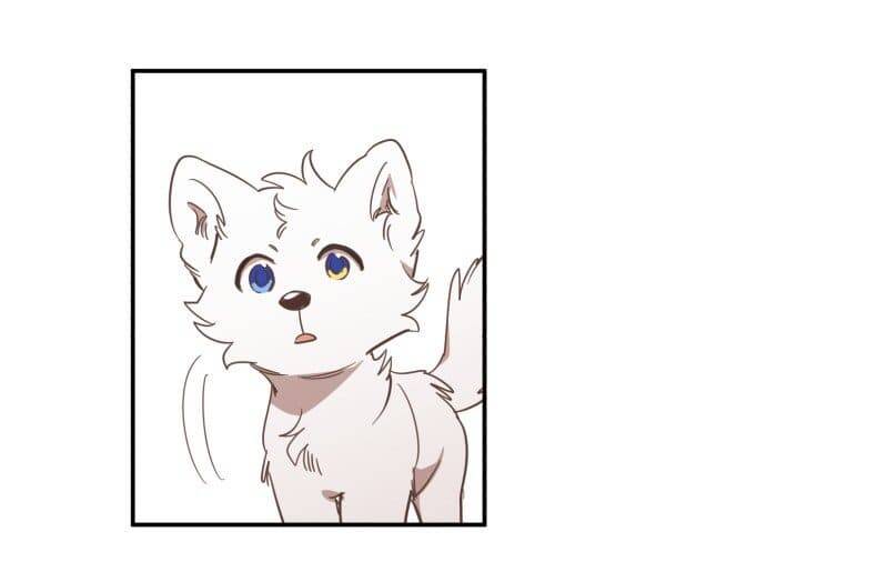 Lumine Chapter 73 - Trang 2