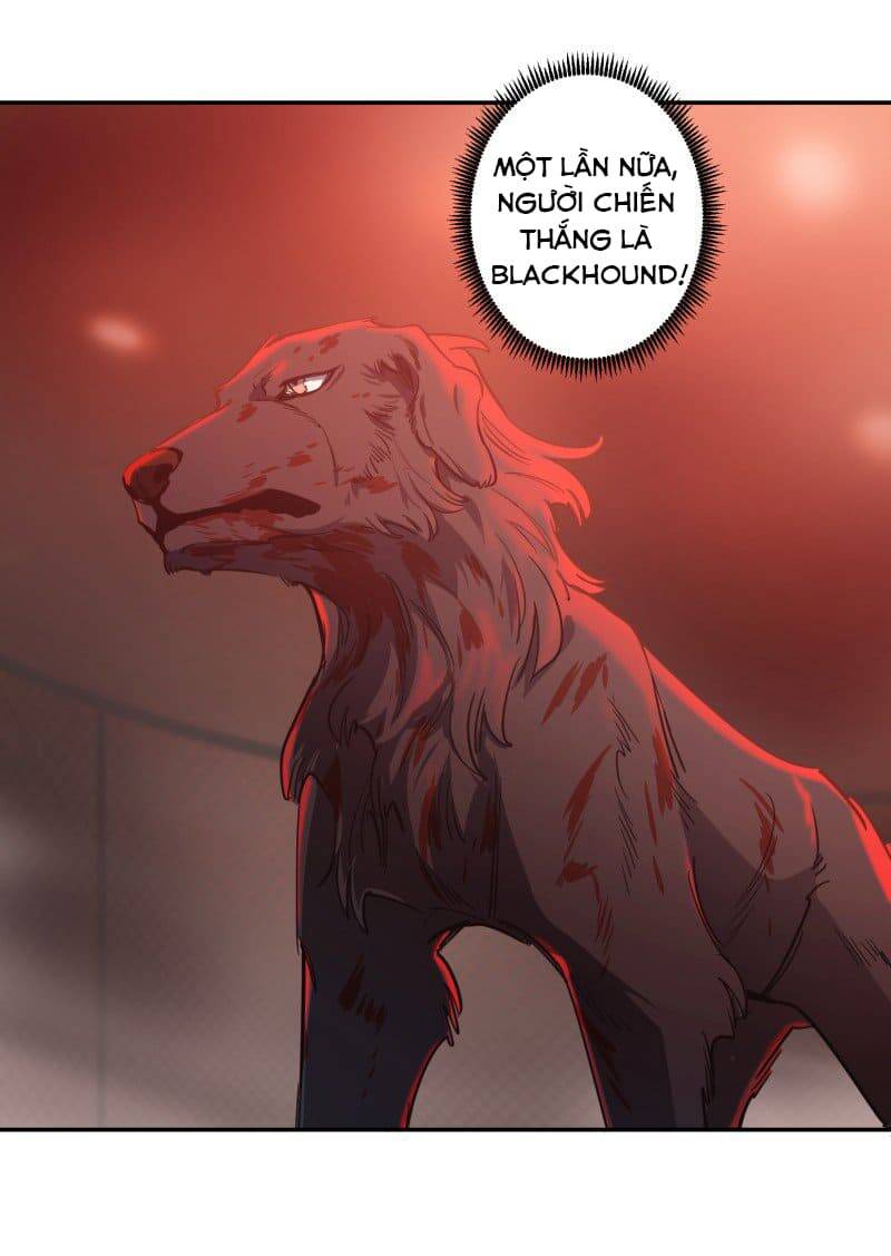 Lumine Chapter 74 - Trang 2