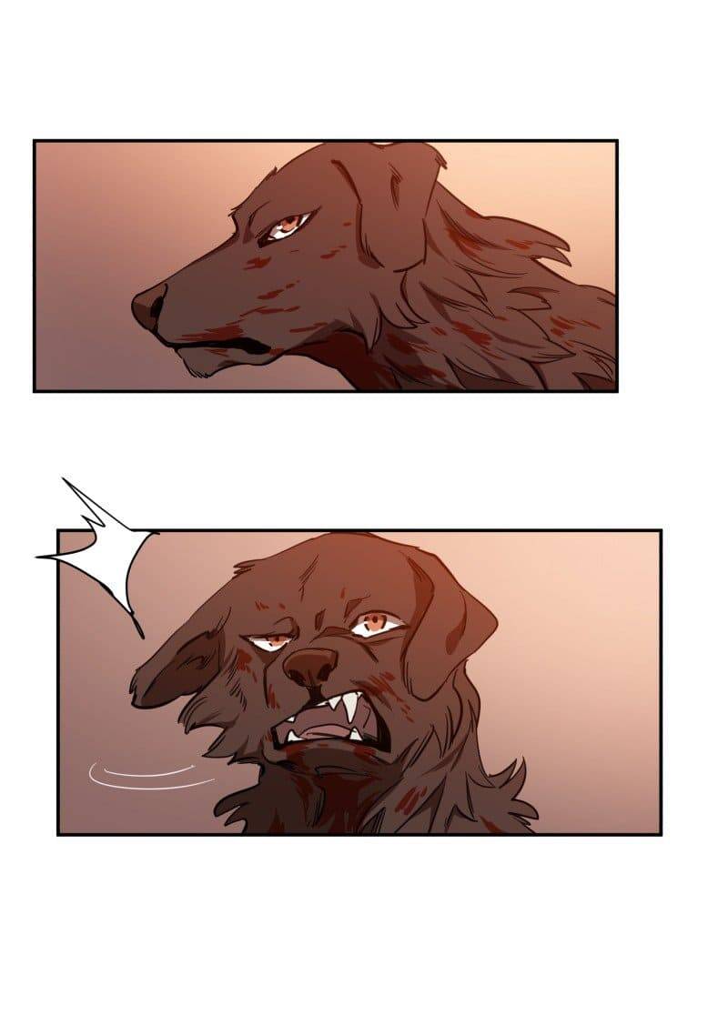 Lumine Chapter 74 - Trang 2