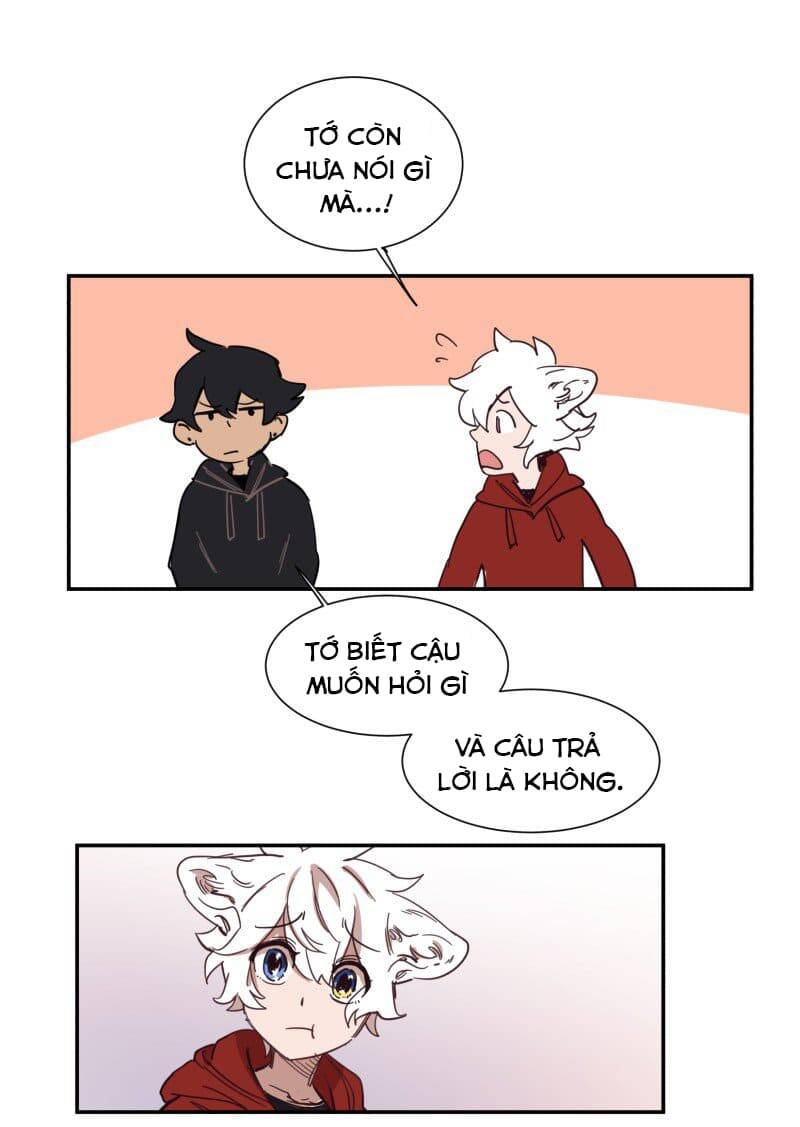 Lumine Chapter 76 - Trang 2