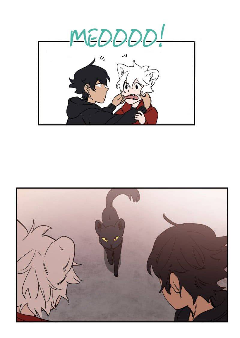 Lumine Chapter 76 - Trang 2