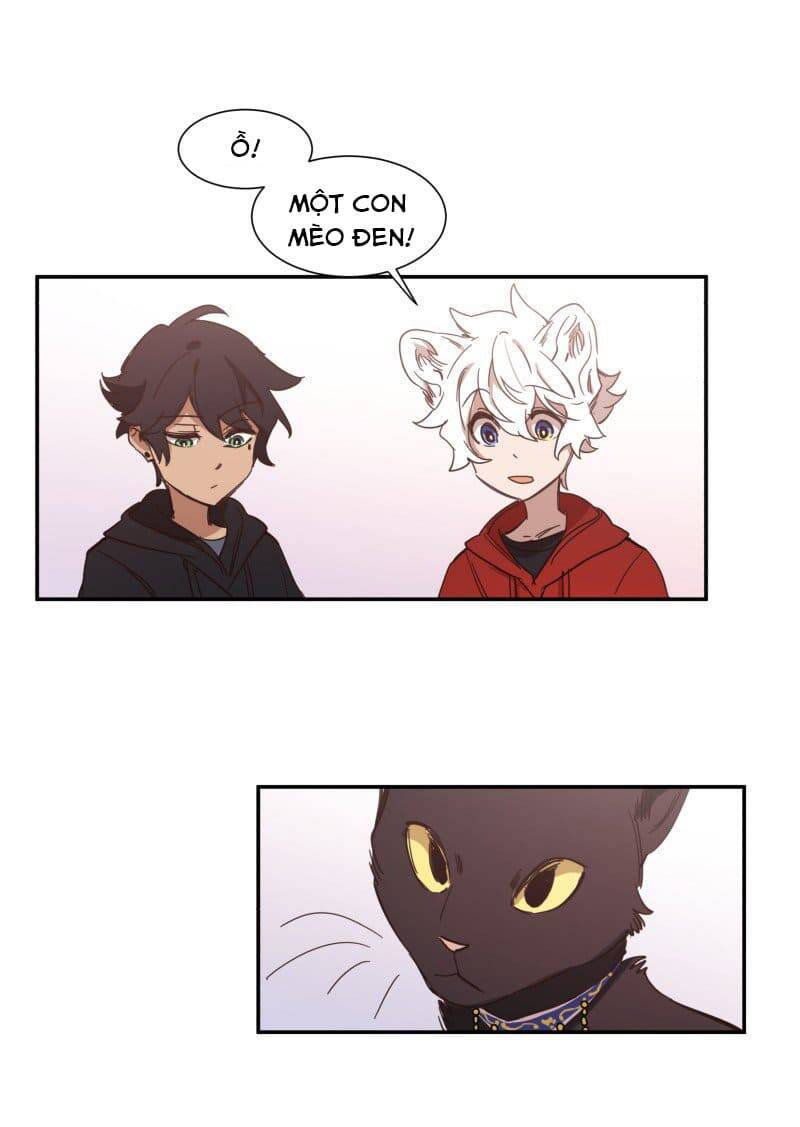 Lumine Chapter 76 - Trang 2