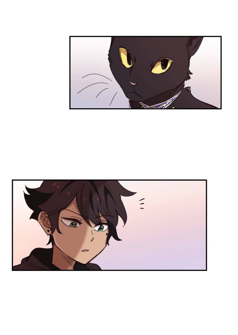 Lumine Chapter 76 - Trang 2