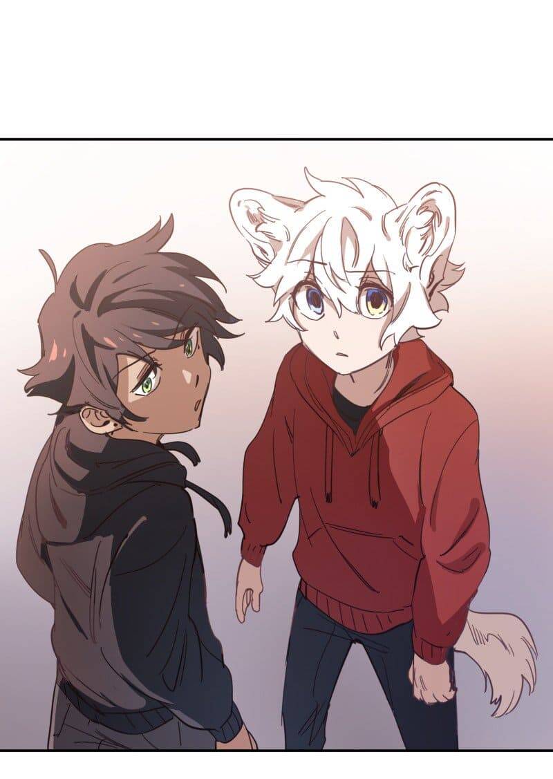 Lumine Chapter 76 - Trang 2