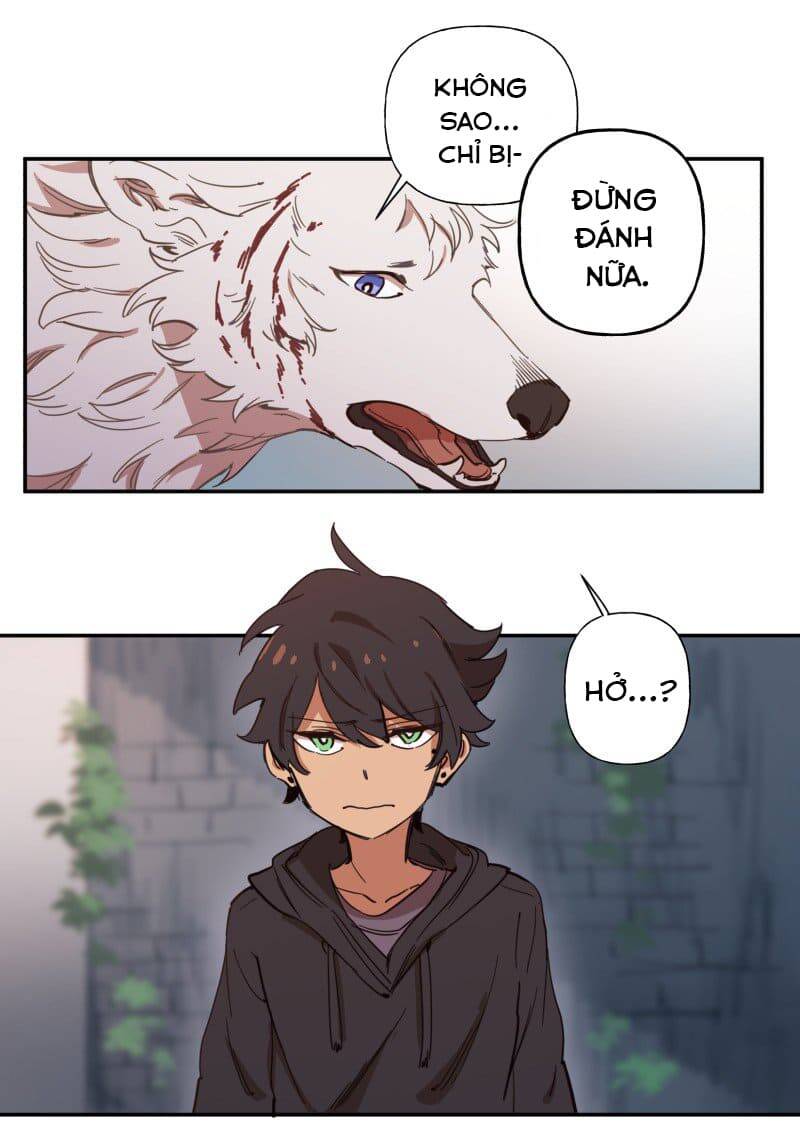 Lumine Chapter 77 - Trang 2