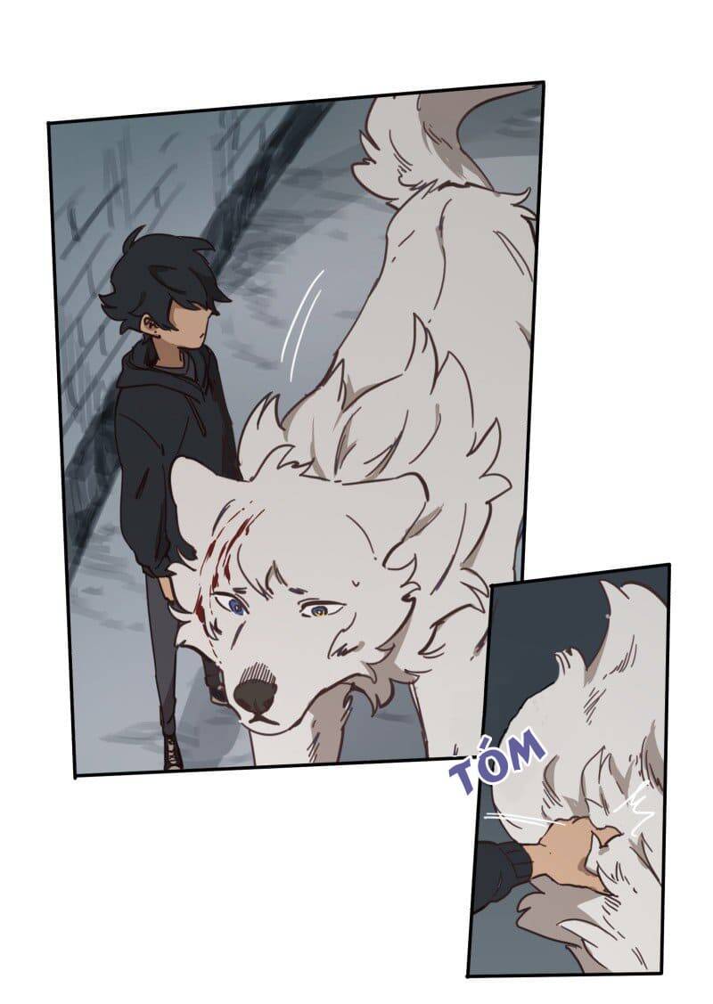 Lumine Chapter 78 - Trang 2