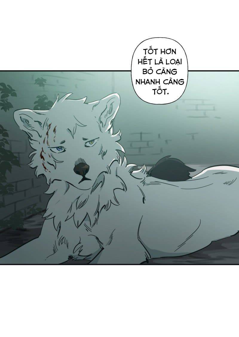 Lumine Chapter 79 - Trang 2