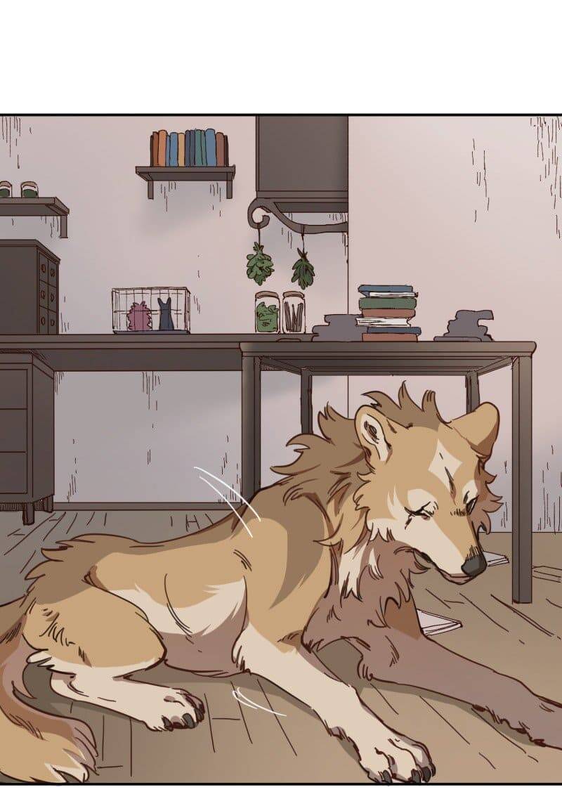 Lumine Chapter 80 - Trang 2