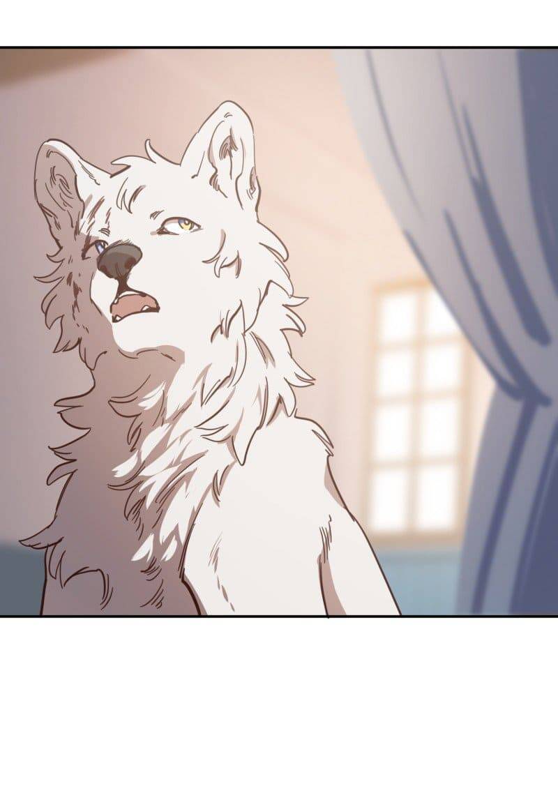 Lumine Chapter 80 - Trang 2