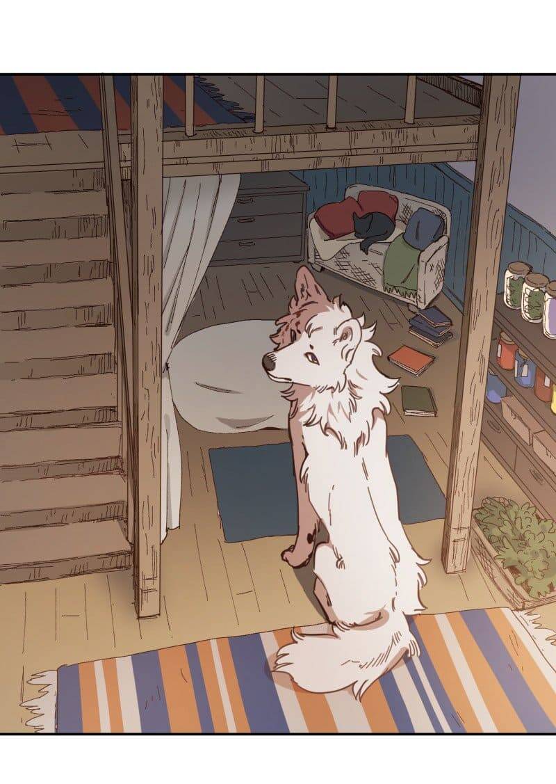 Lumine Chapter 80 - Trang 2