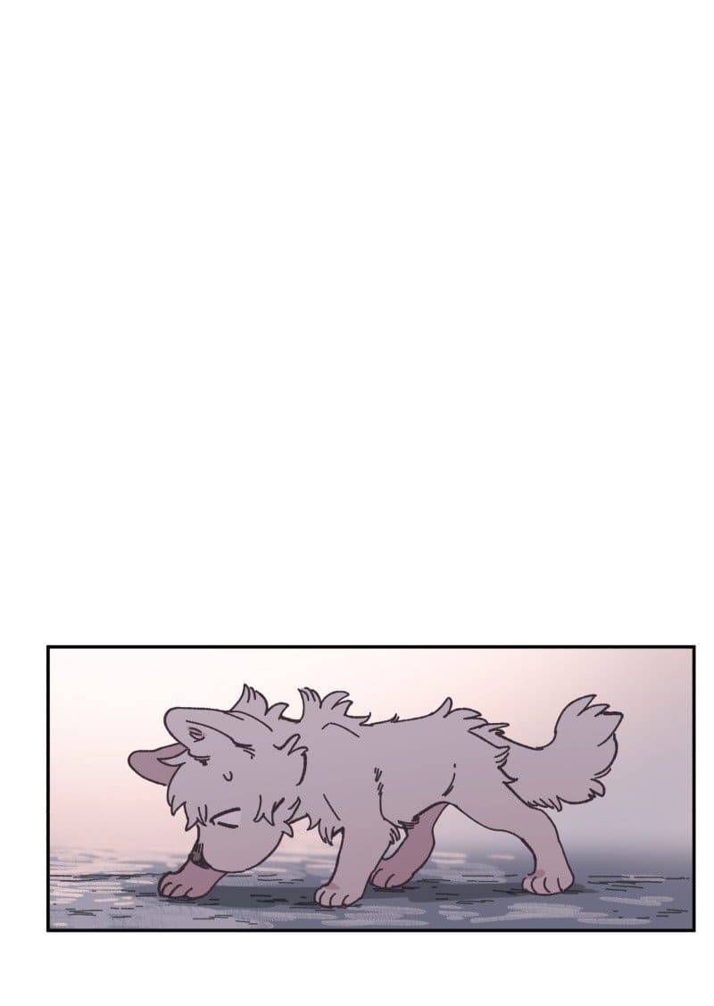 Lumine Chapter 81 - Trang 2