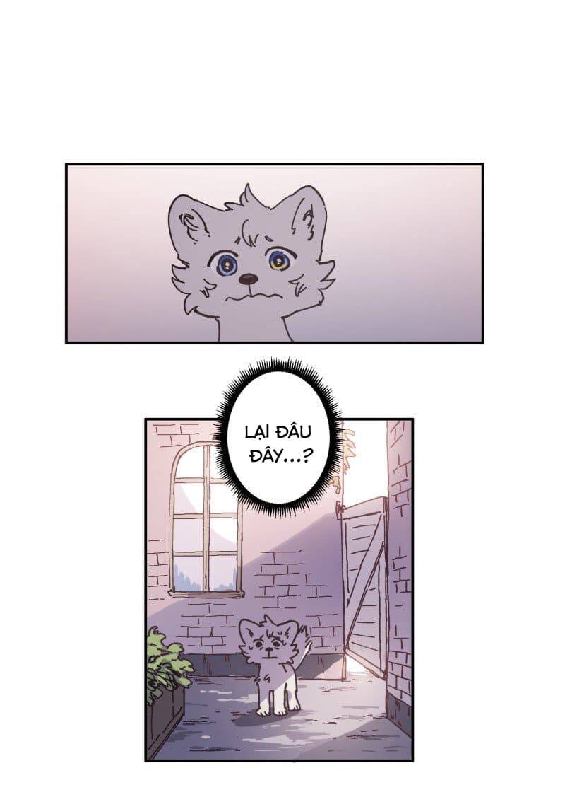 Lumine Chapter 81 - Trang 2