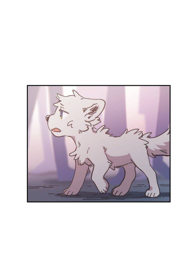 Lumine Chapter 81 - Trang 2