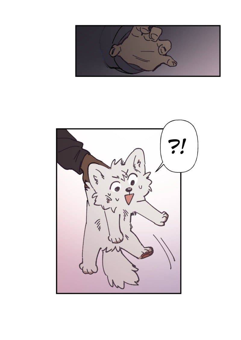 Lumine Chapter 81 - Trang 2