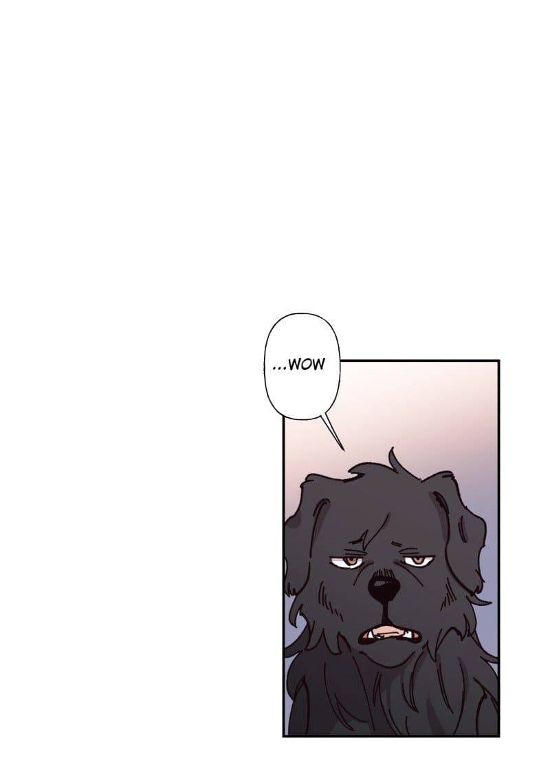 Lumine Chapter 82 - Trang 2