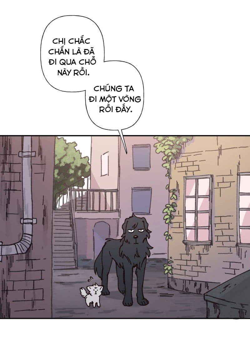 Lumine Chapter 82 - Trang 2