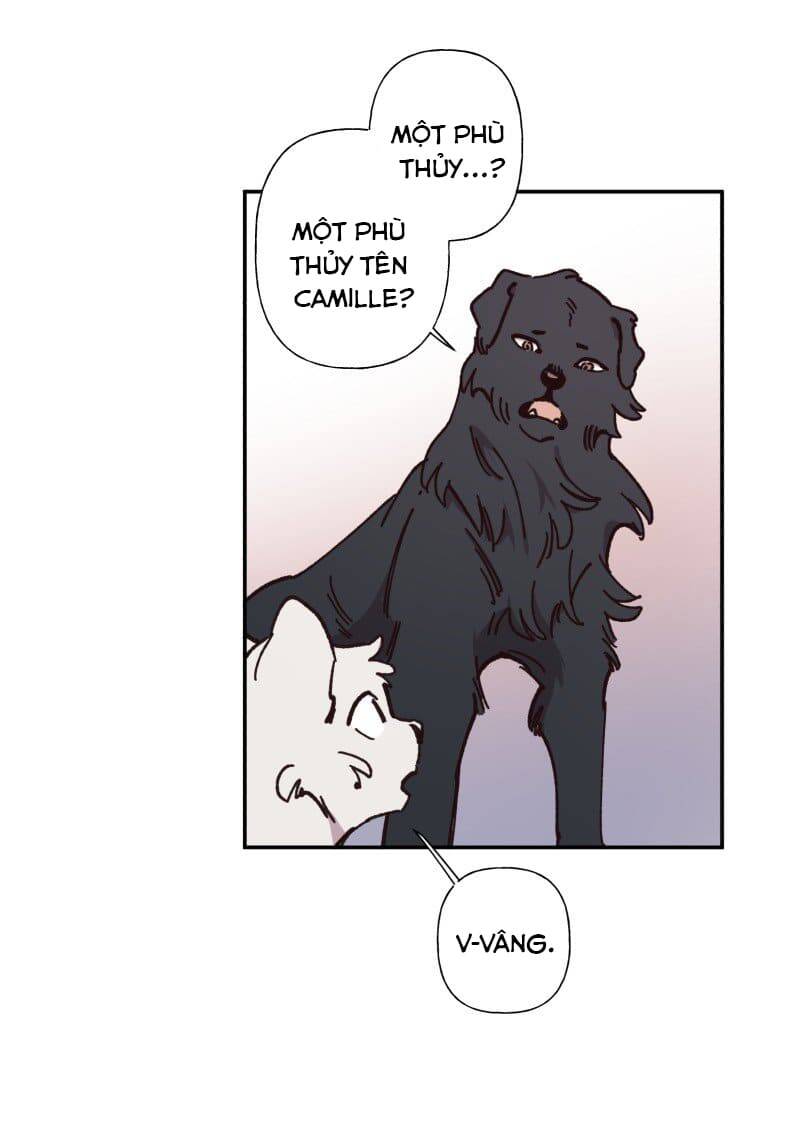 Lumine Chapter 82 - Trang 2