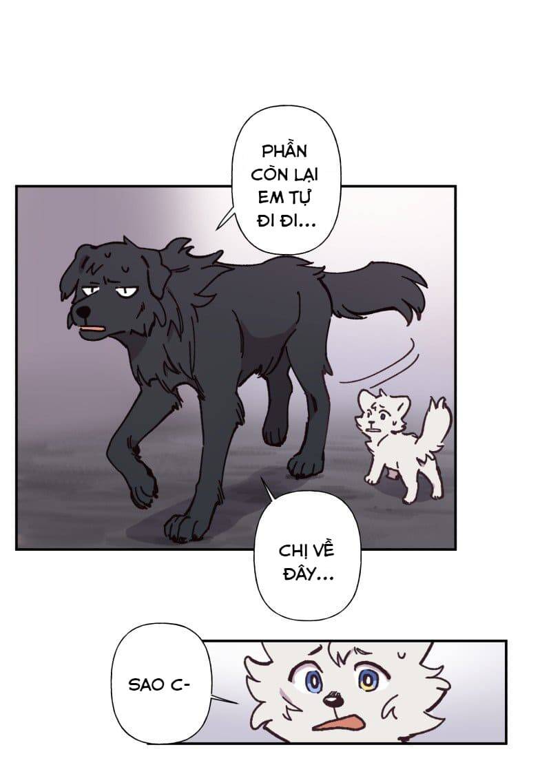 Lumine Chapter 82 - Trang 2