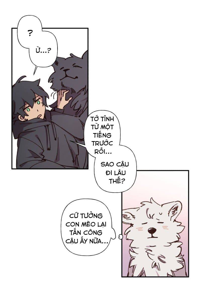 Lumine Chapter 83 - Trang 2