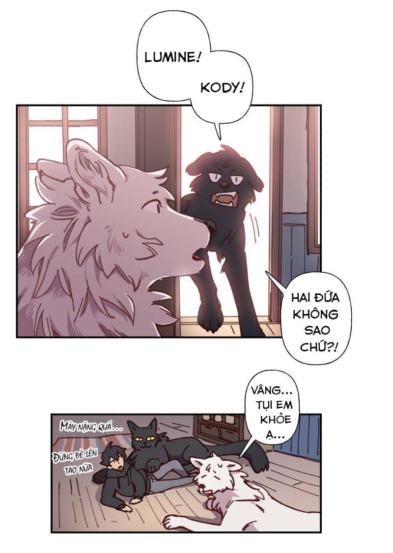 Lumine Chapter 83 - Trang 2