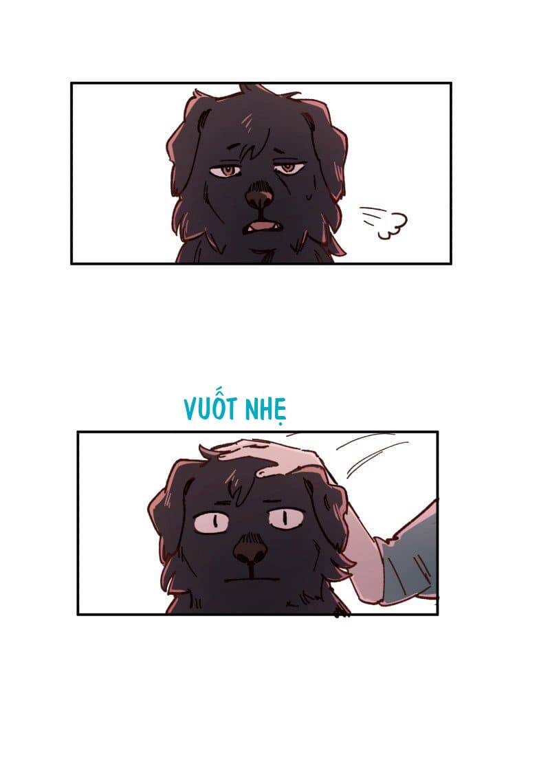 Lumine Chapter 83 - Trang 2